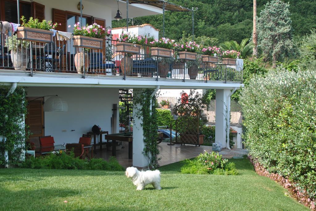 Casa Vacanze Villa Antonella By Gocce Vico Equense Luaran gambar